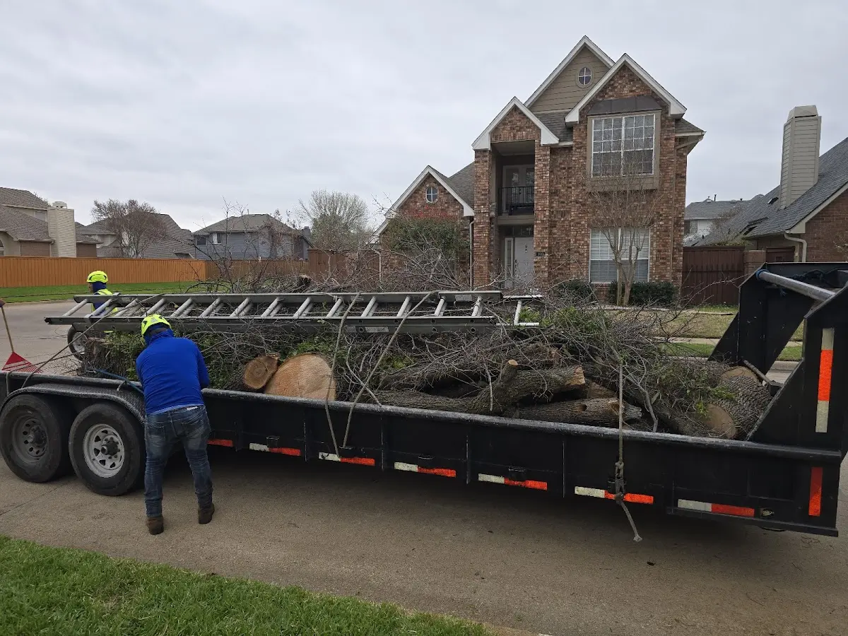 Expert Tree Removal with proper safety equipment in Bruce